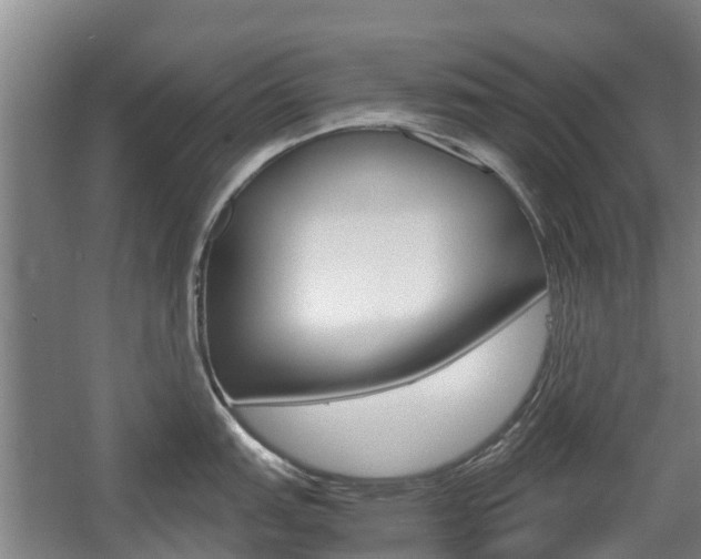 X0000057561151200509160804