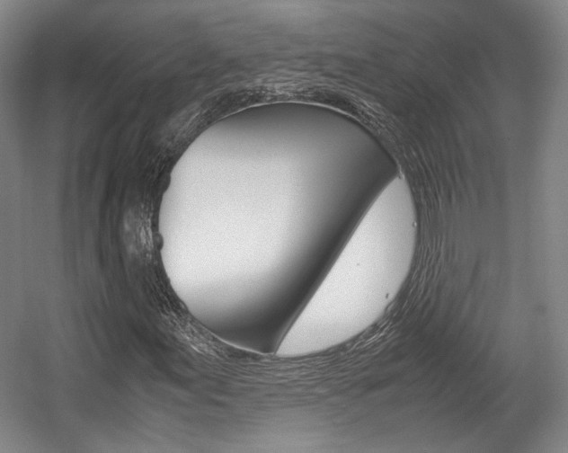 X0000057561155200509160803