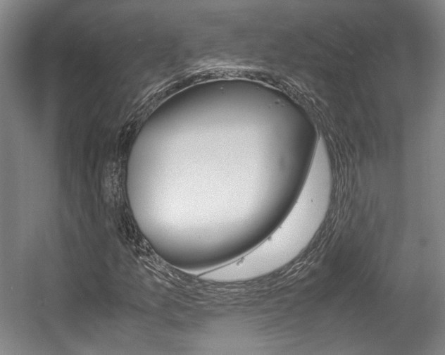 X0000057561157200509160803