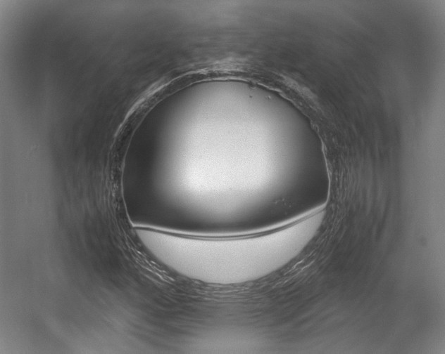 X0000057561160200509160803