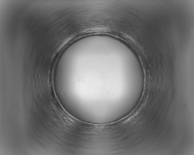 X0000057561162200509160803