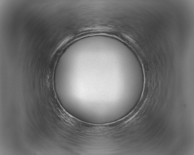 X0000057561163200509160803