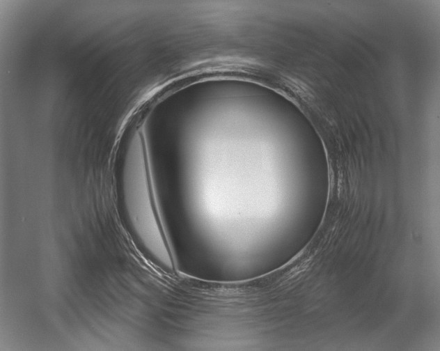 X0000057561164200509160803