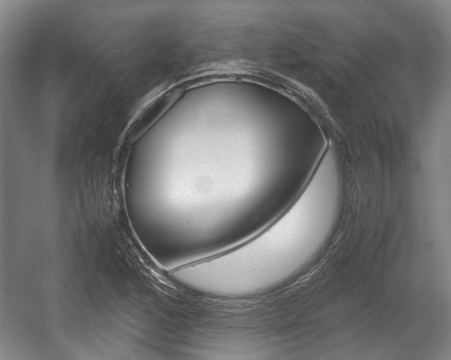 X0000057561168200509160802