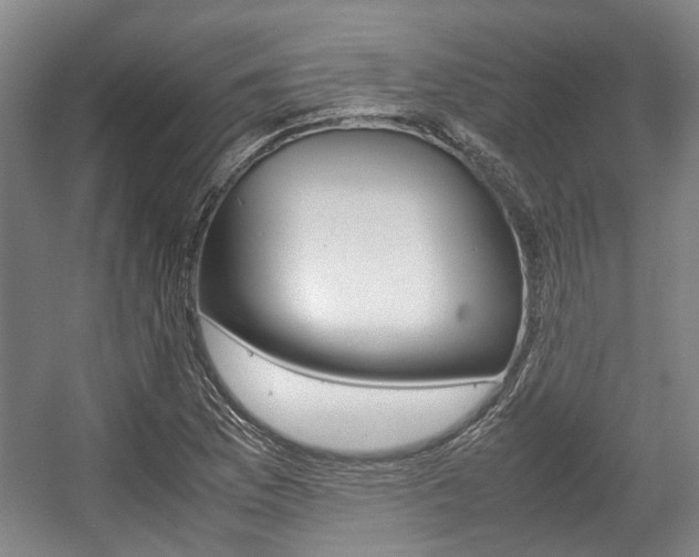 X0000057561169200509160802