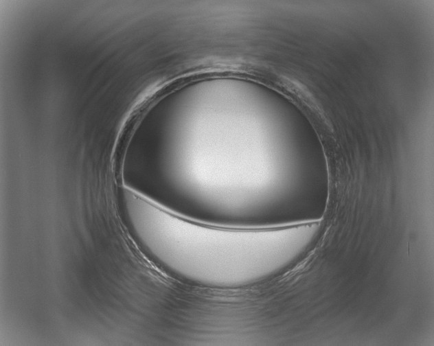 X0000057561172200509160802
