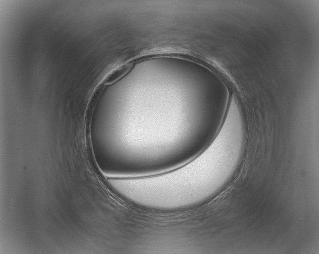 X0000057561173200509160802