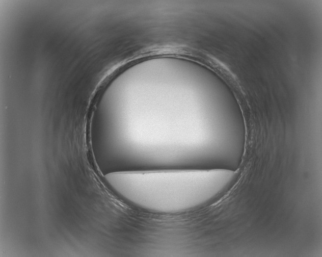 X0000057561174200509160802
