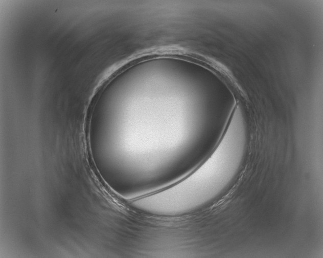 X0000057561176200509160802