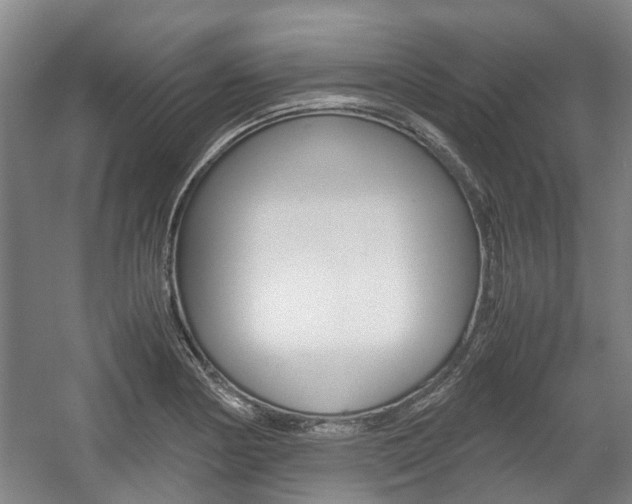 X0000057561178200509160802