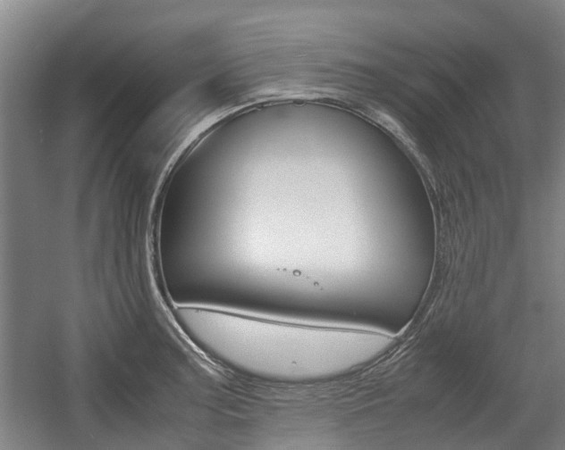 X0000057561187200509160802