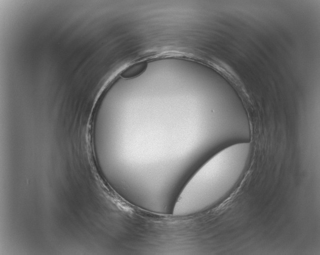 X0000057561190200509160802