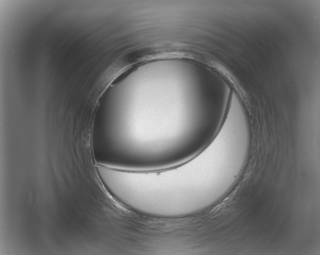 X0000057561193200509160802