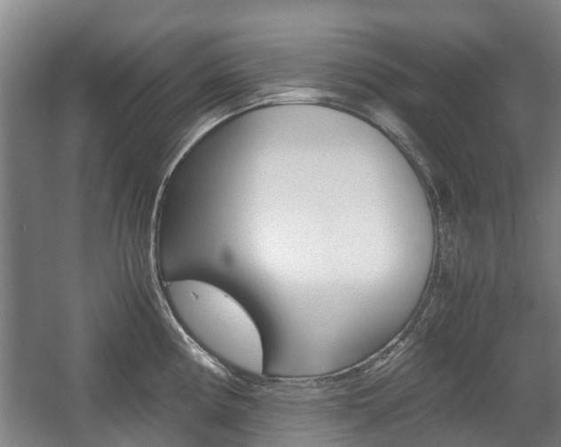 X0000057561194200509160802
