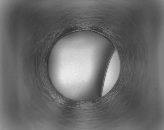 X0000057561201200509160801