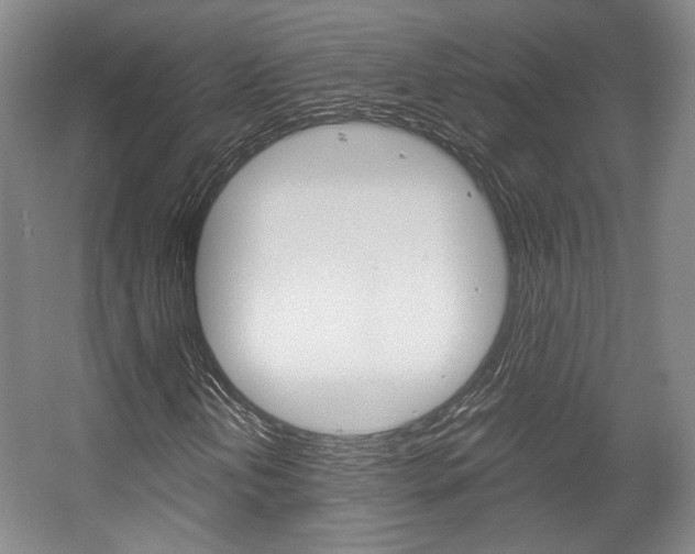 X0000057561202200509160801