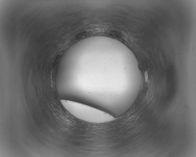 X0000057561203200509160801