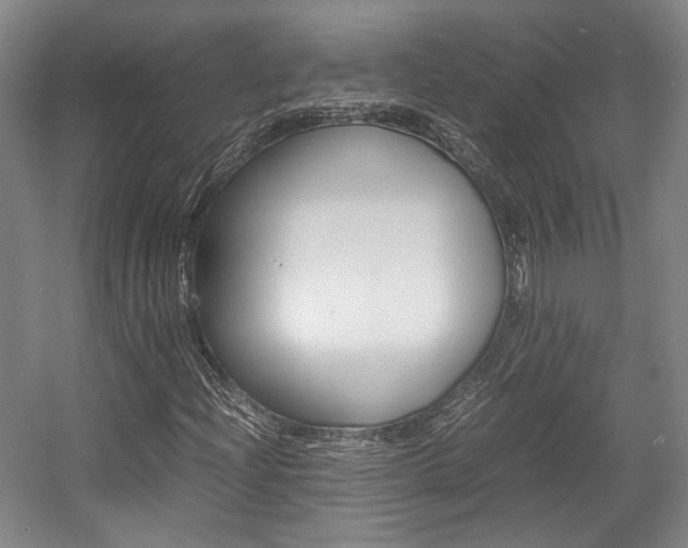 X0000057561204200509160801