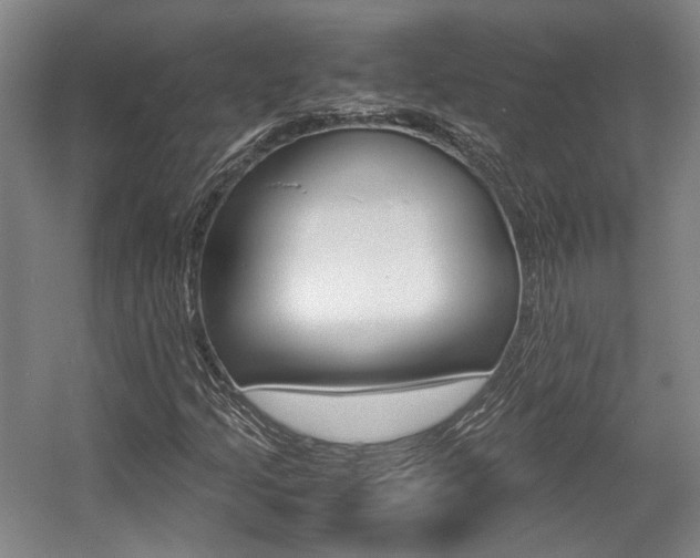 X0000057561205200509160801