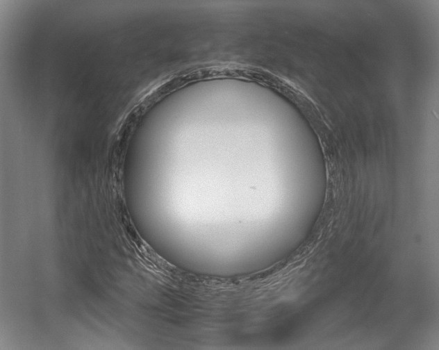 X0000057561207200509160801