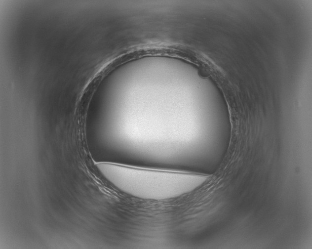 X0000057561208200509160801