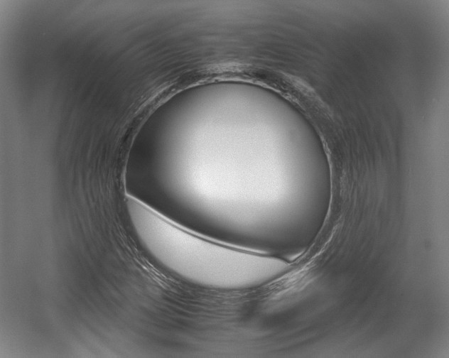 X0000057561209200509160801