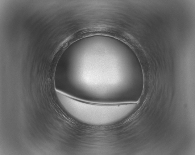 X0000057561210200509160801