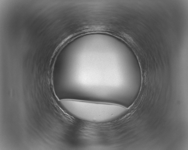 X0000057561212200509160801