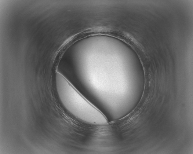 X0000057561213200509160801