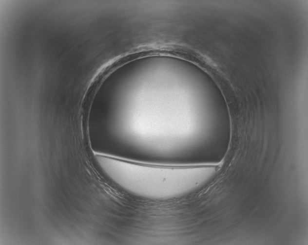 X0000057561214200509160801