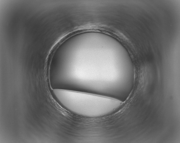 X0000057561216200509160801