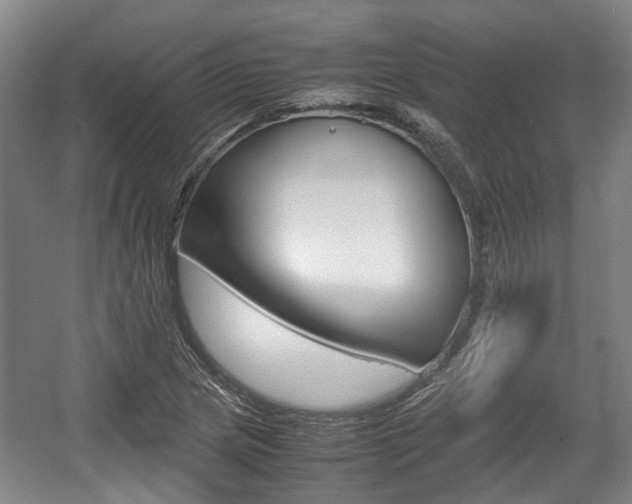 X0000057561217200509160801