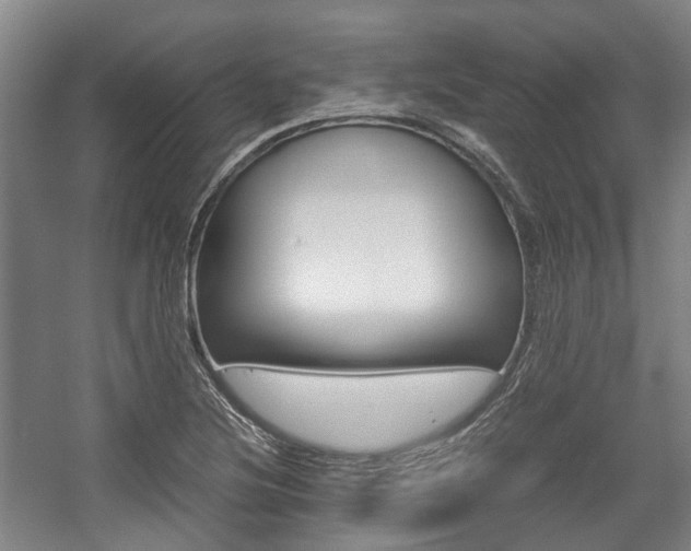 X0000057561220200509160801