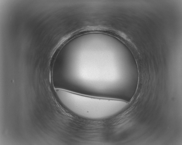 X0000057561221200509160801