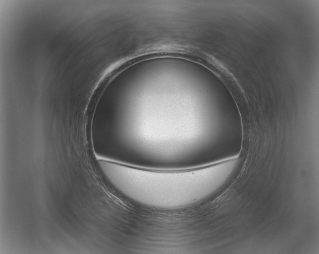 X0000057561222200509160801