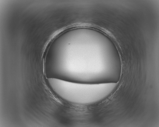 X0000057561223200509160802