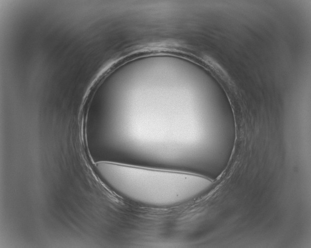 X0000057561224200509160802