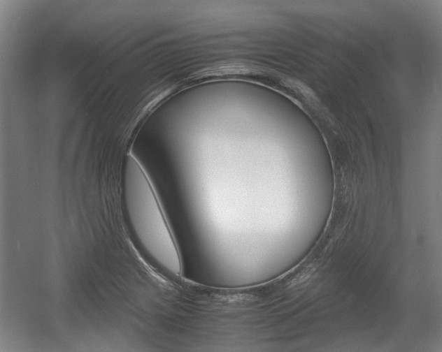 X0000057561225200509160802