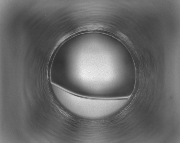 X0000057561226200509160802