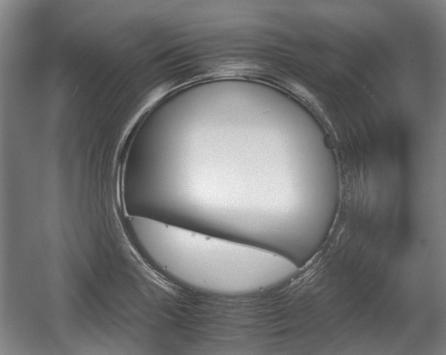 X0000057561227200509160802