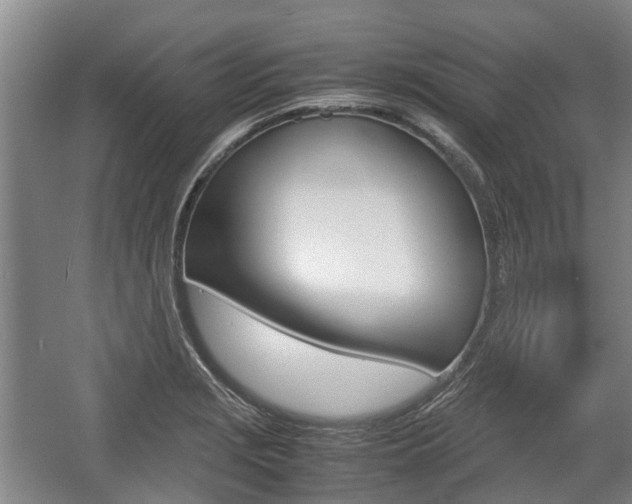 X0000057561229200509160802