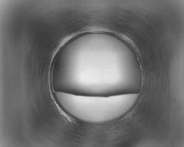 X0000057561231200509160802