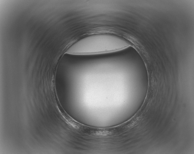 X0000057561233200509160802
