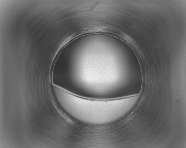 X0000057561234200509160802