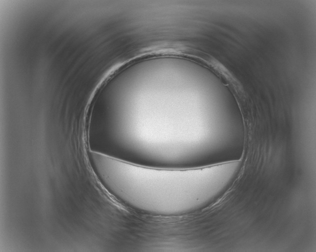 X0000057561240200509160802