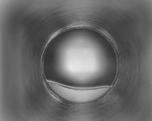 X0000057561242200509160802