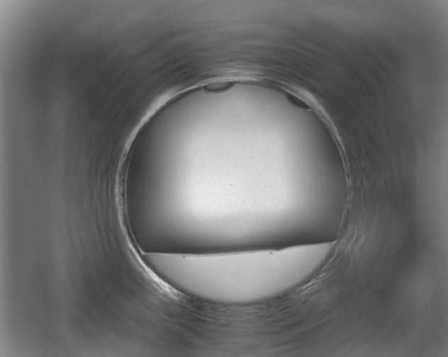 X0000057561243200509160802
