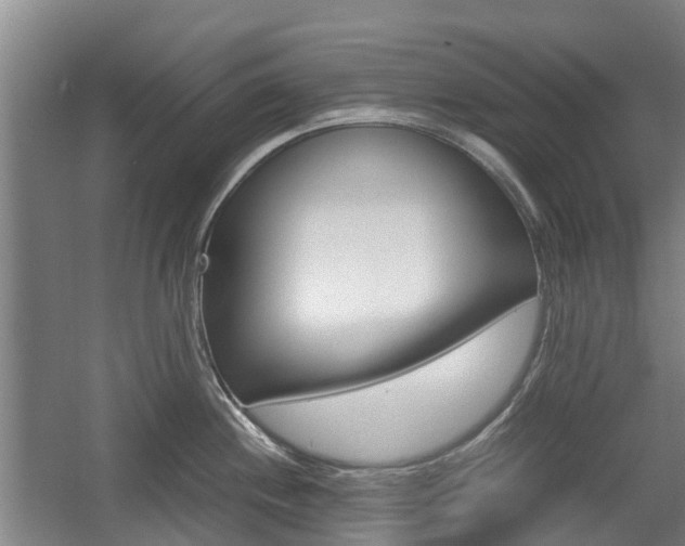 X0000057561244200509160802