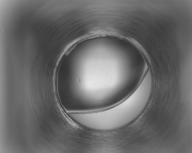 X0000057561246200509160802