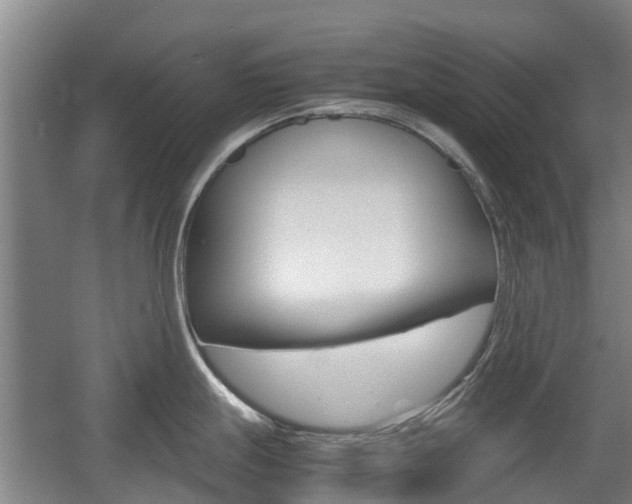 X0000057561247200509160802